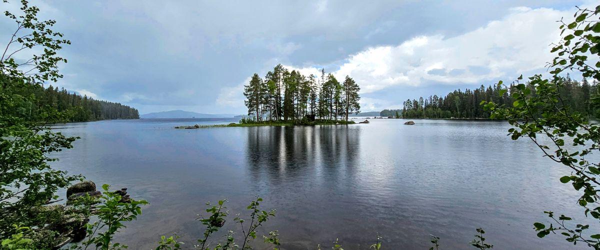 Önskasjön