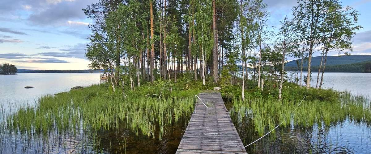 Önskasjön
