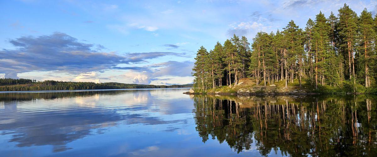 Önskasjön