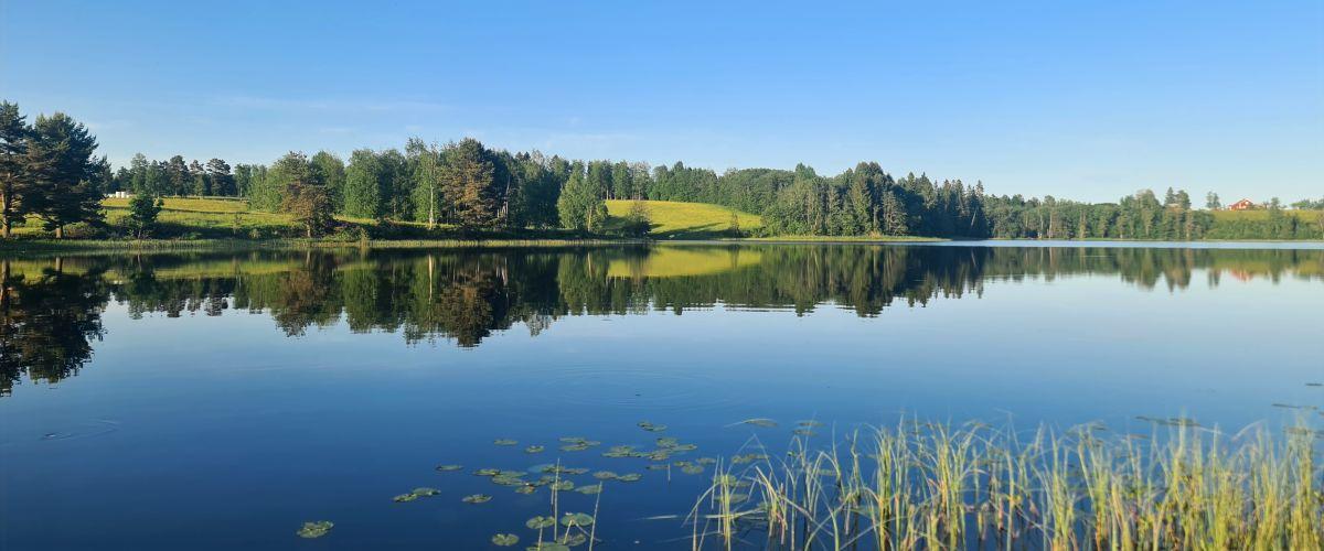 Västansjö FVOF - Image 2