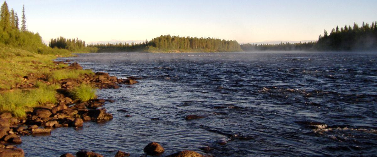 Aareavaara FVOF Muonio älv, Aareajoki och Aareajärvet - Image 4
