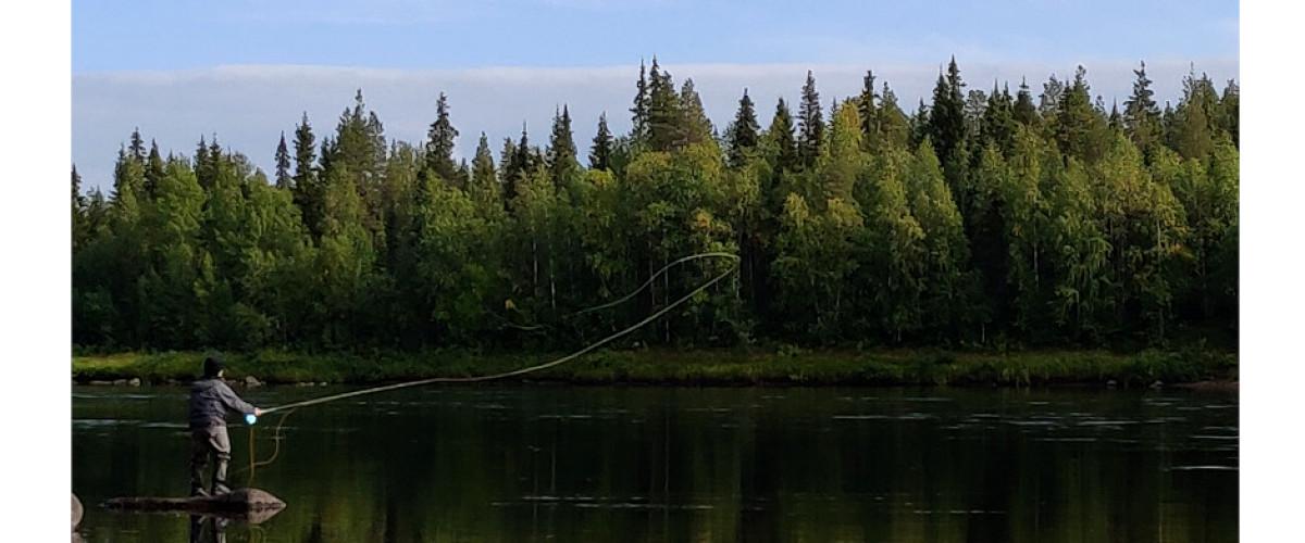 Aareavaara FVOF Muonio älv, Aareajoki och Aareajärvet - Image 7