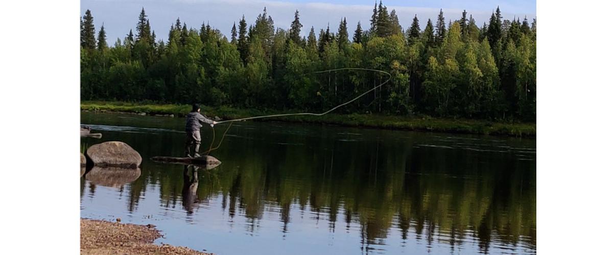 Aareavaara FVOF Muonio älv, Aareajoki och Aareajärvet - Image 8