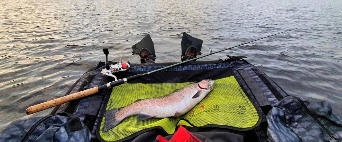 Första fisken landad från flytring i Djuptjärnsgruppen