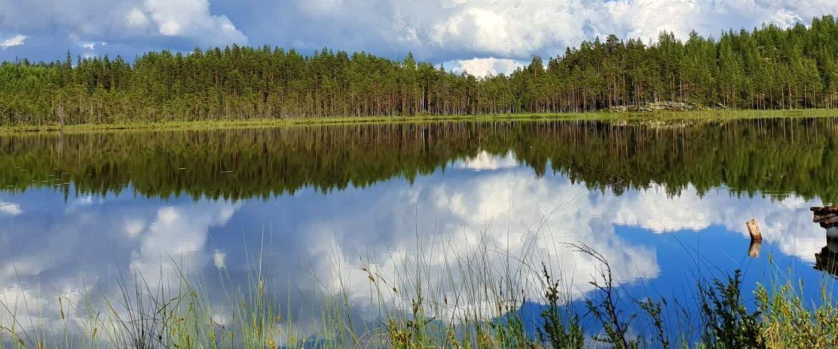 Österholmtjärn på sommaren