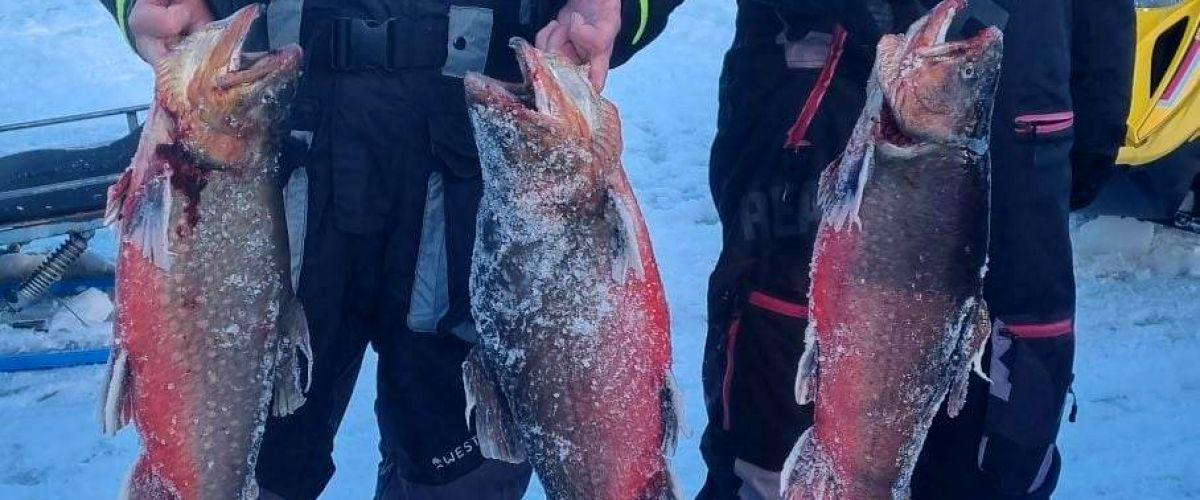 Rödingspremiär på Österholmtjärn 2023