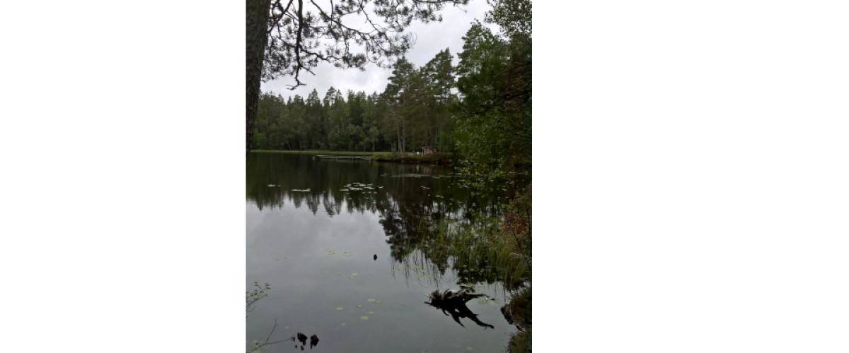 Sävsjö SFK Käringasjön, Vrigstad - Image 3