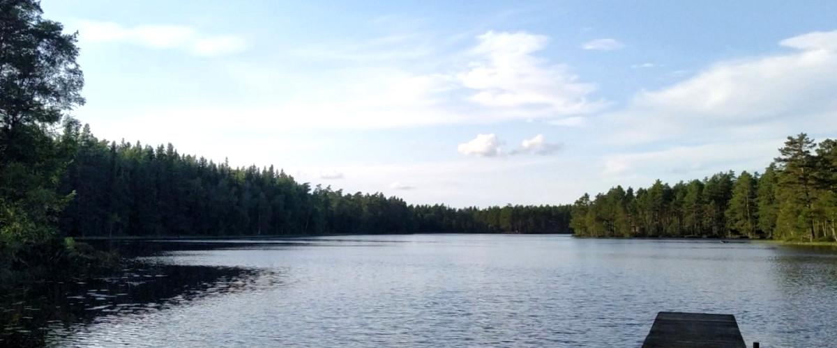 Sävsjö SFK Käringasjön, Vrigstad - Image 4