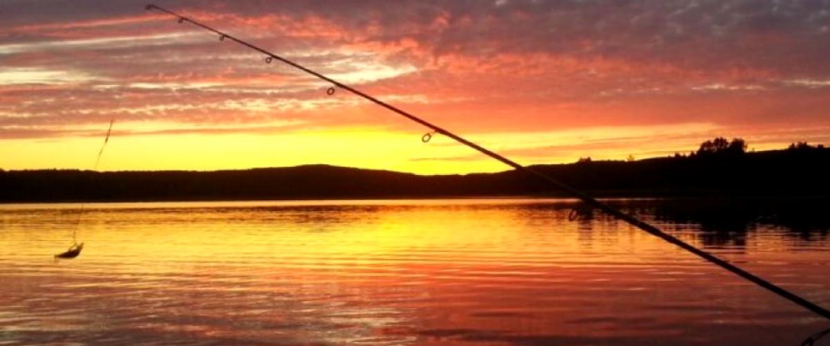 Öfjärdens FVOF Klingresjön, Älvsjösjön, Vikesjön, Öfjärden. - Image 4