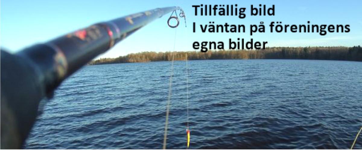 Vassjöns FVO - Image 1