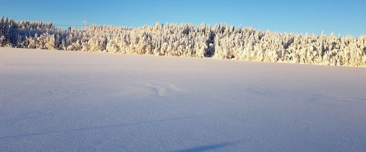 Flottsjön