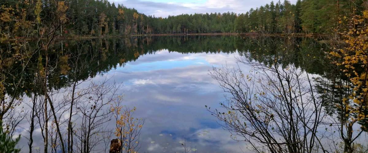 Sveaskog Familjesjöar Malingsbo - Image 1