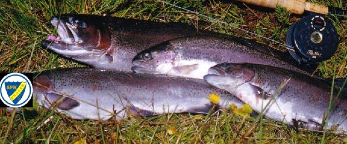 SFK Kroken Stora Hammarsjöns FVO och Hulingens FVO - Image 6