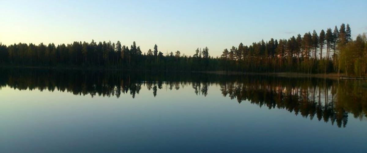 Bölens FVOF, Stortjärn, Hamptjärn - Image 3