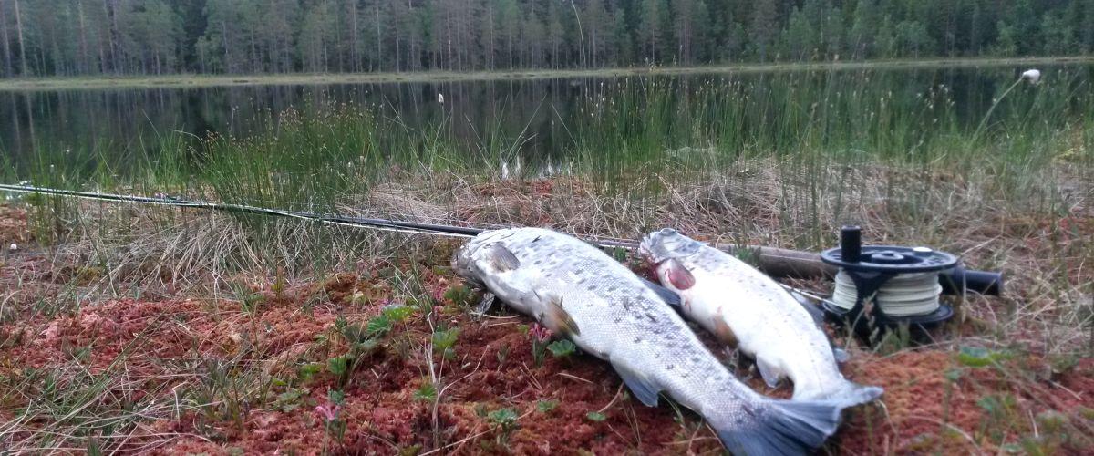Långvattnets FVOF Salomonstjärn, Lidtjärn, Lill-Malklippstjärn, Stensvattnet m fl - Image 4