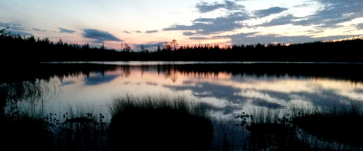 Långvattnets FVOF Salomonstjärn, Lidtjärn, Lill-Malklippstjärn, Stensvattnet m fl - Image 3
