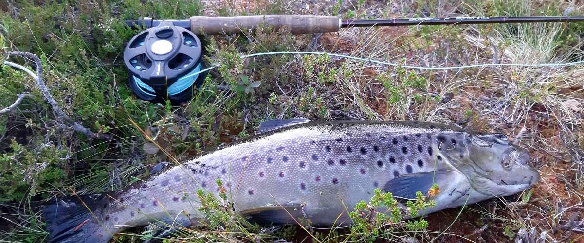 Långvattnets FVOF Salomonstjärn, Lidtjärn, Lill-Malklippstjärn, Stensvattnet m fl - Image 2