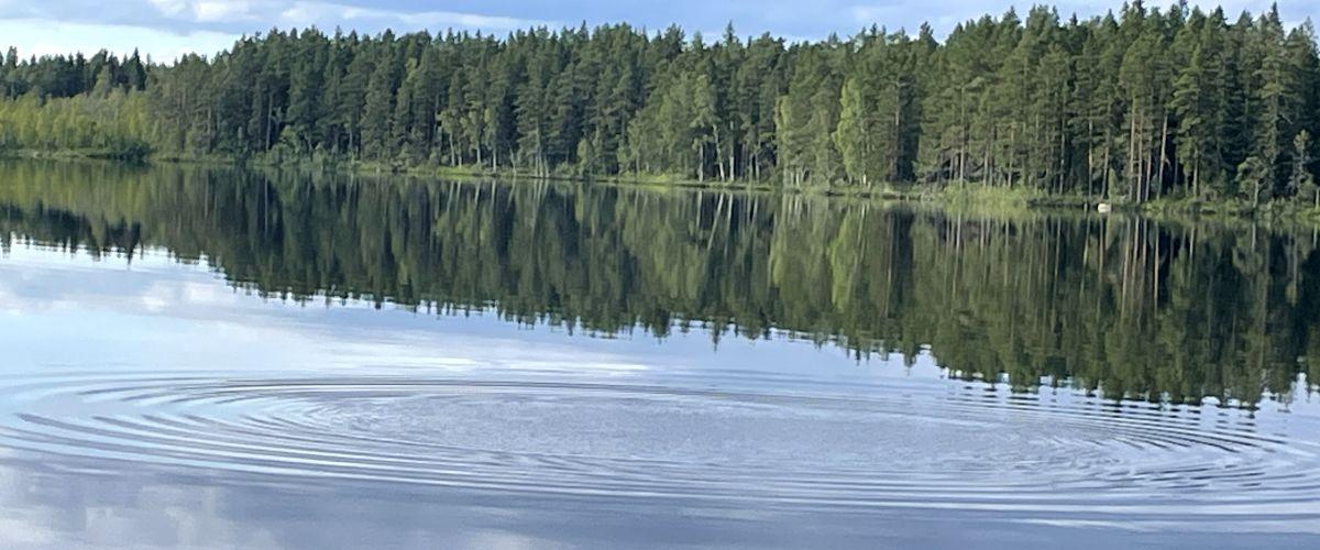 Medskogssjön