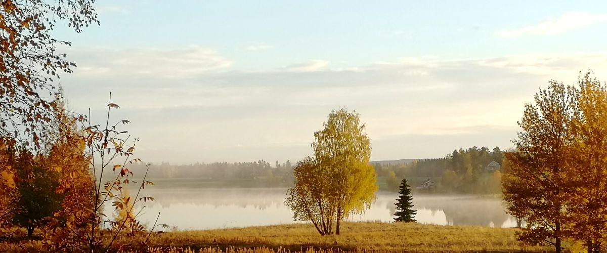 Höstmorgon vid Gullsjön