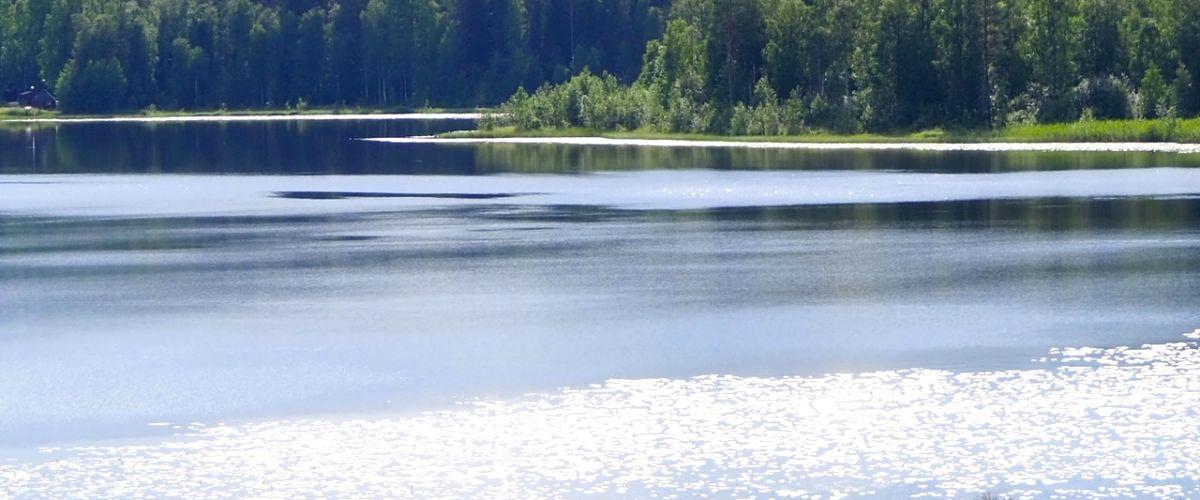 Gullsjö FVOF Gullsjön - Image 5