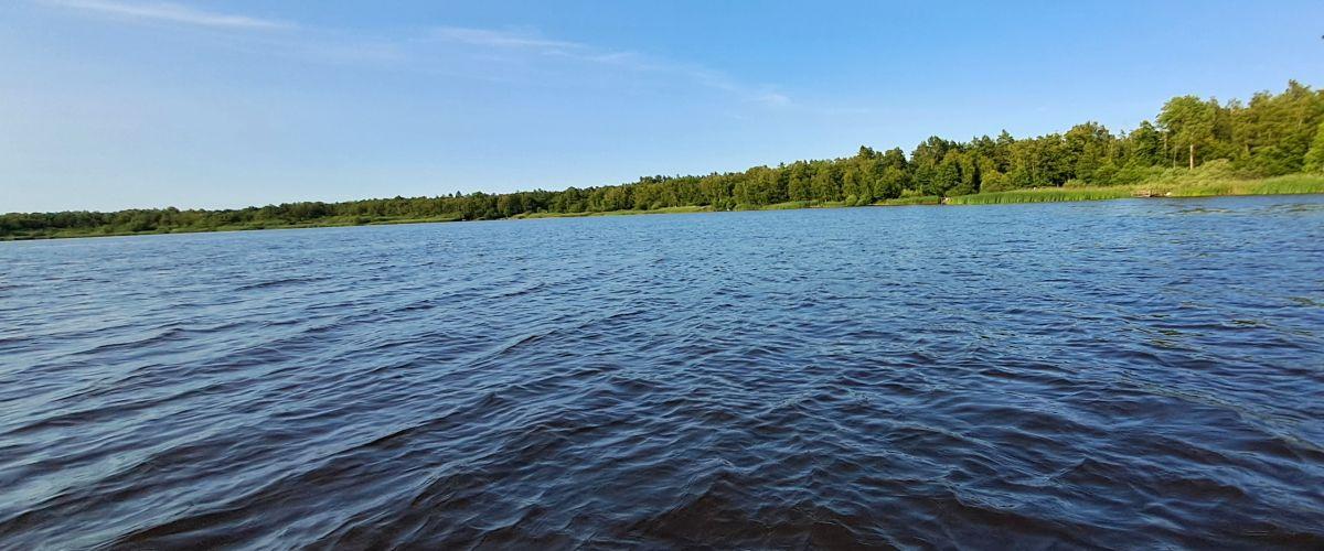 Sommar på sjön