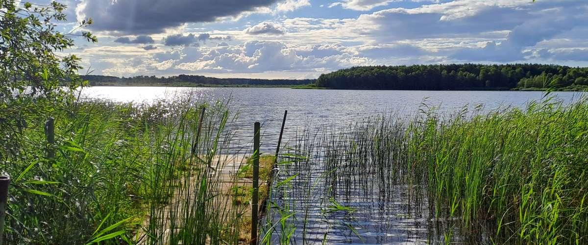 Sommarkväll