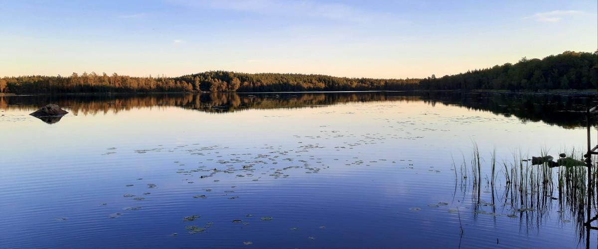 Yasjöns FVOF Yasjön - Image 4