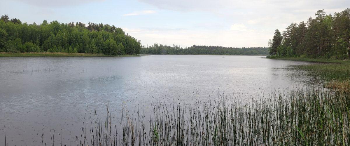 Gränssjöns FVF Gränssjön - Image 2
