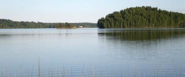 Noen - Image 2