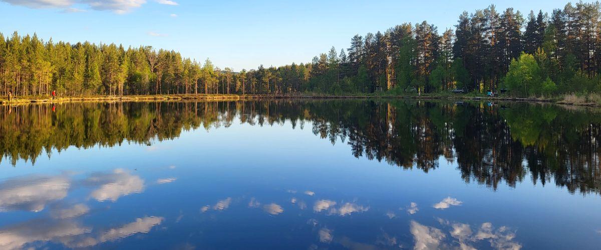 Stilla kväll vid skogstjärn