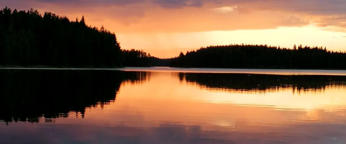 Singsjövattnens fvof - Image 1