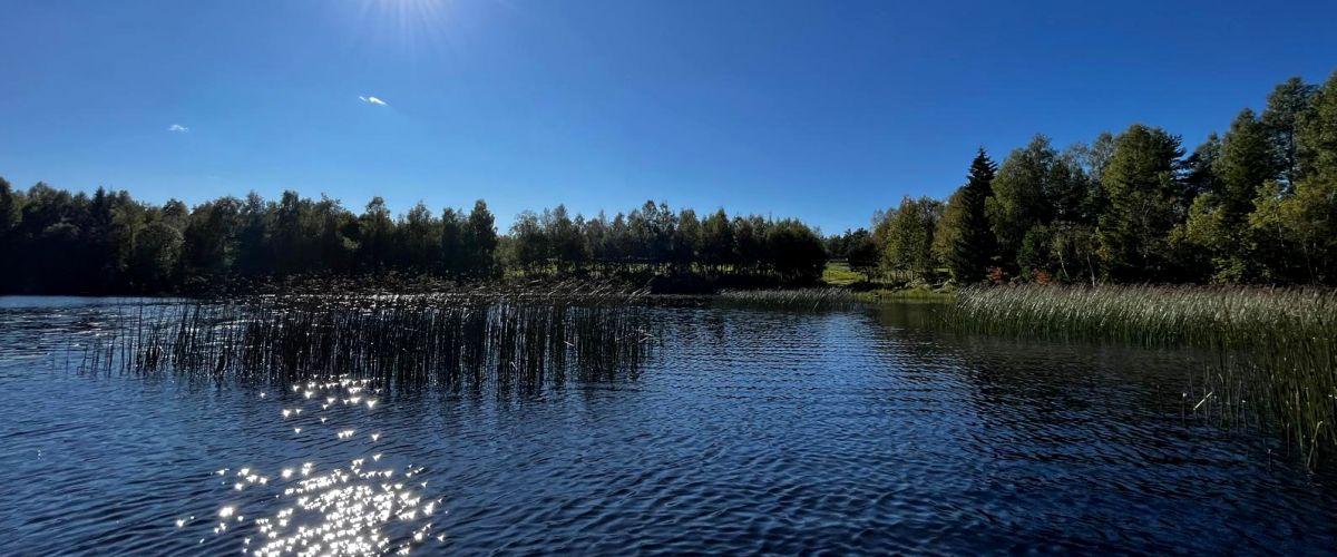 Vassrugg sjölid