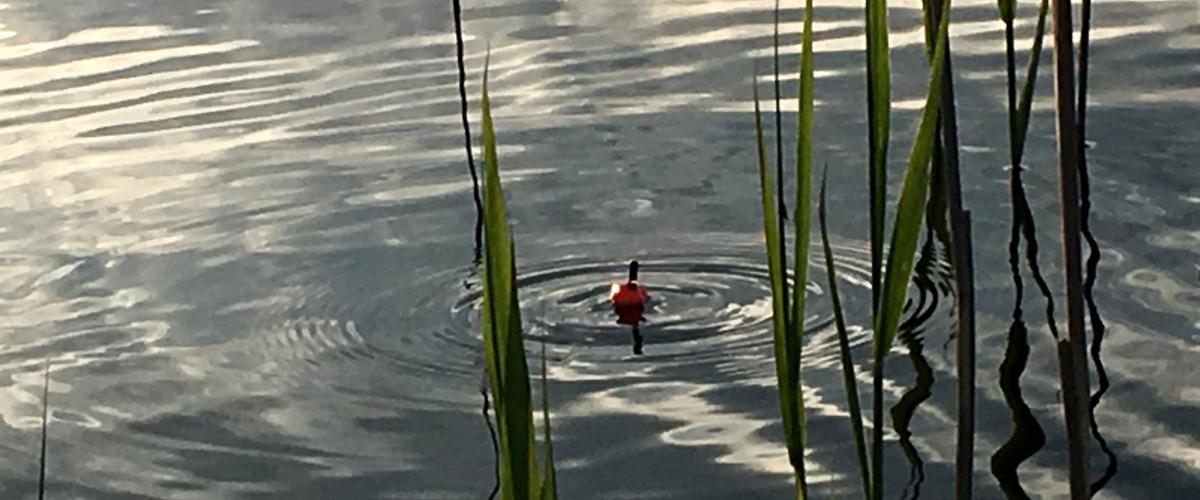 Bäcksjö Båt- och fiskeklubb Bäcksjön, Umeå kommun - Image 2
