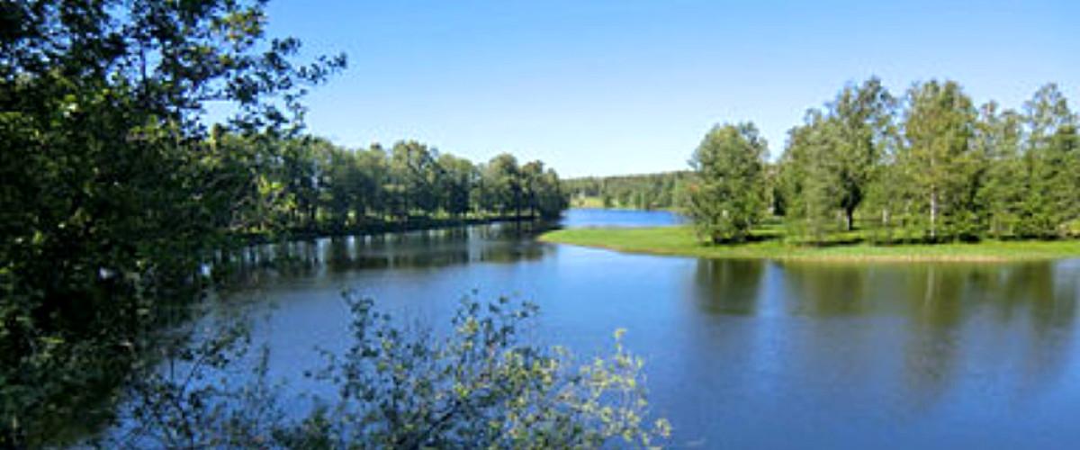 Gullspångsälven - Image 2
