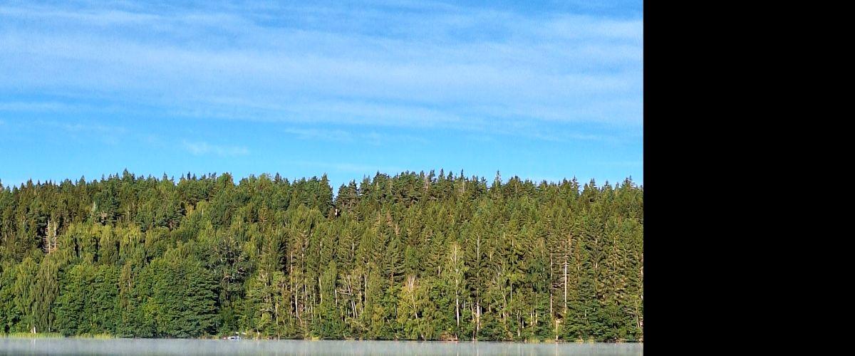 Kvarnsjöarnas FVOF Övre och Nedre Kvarnsjön - Image 2