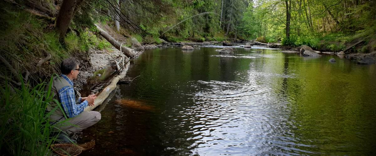 Hedströmmen Bernshammar - Image 3