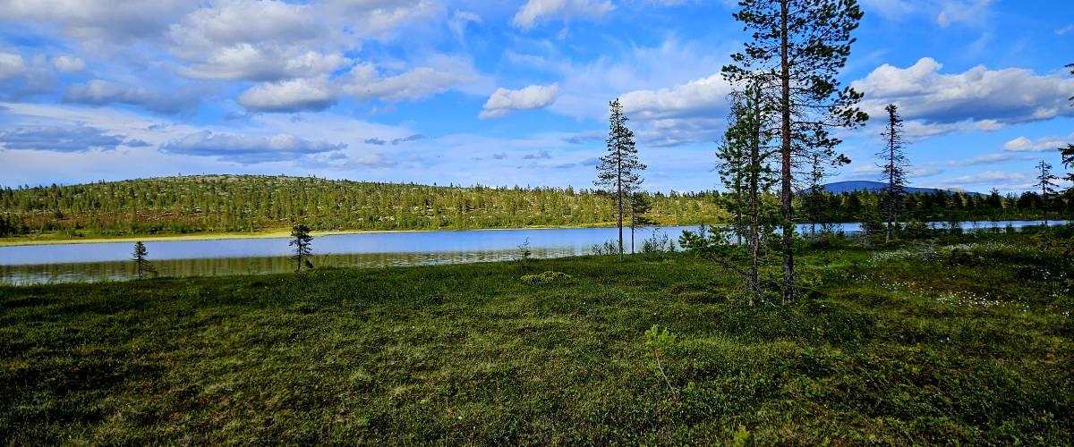 Leveråstjärnen