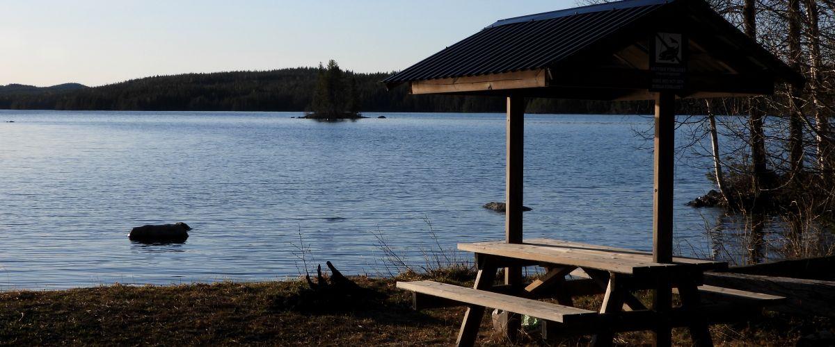 Gunnarbäcken-Juktåns Nedre FVOF - Image 3