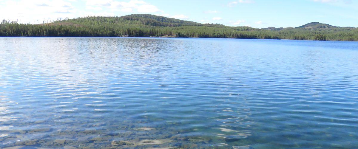 Skirträsket