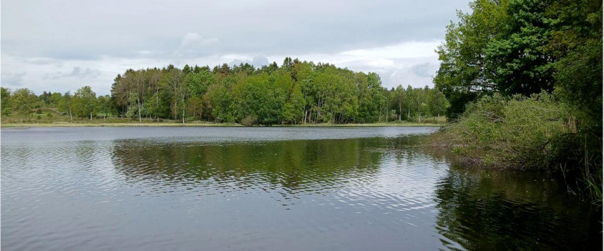 Photo of Verkasjön