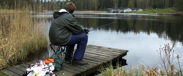 Boråssjöarna - Image 5