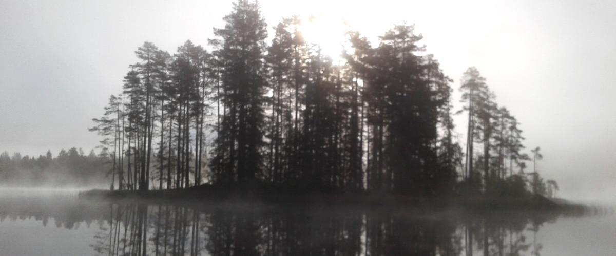 Ängersjö FVOF P&T - Image 4