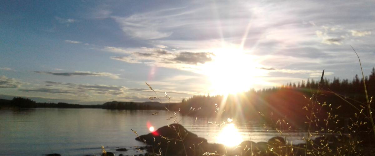 Ängersjö FVOF P&T - Image 6