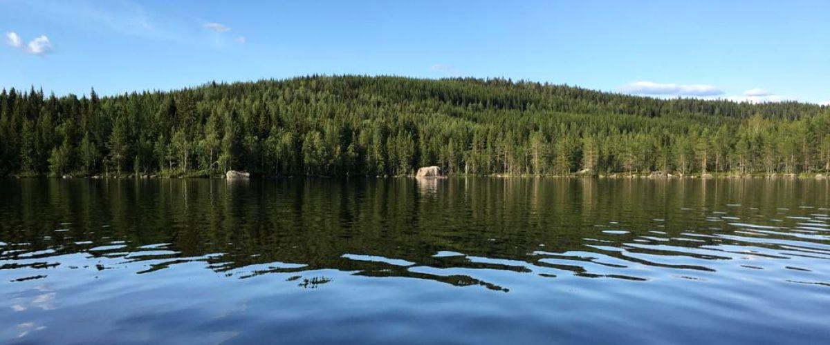 Ängersjö FVOF P&T - Image 17