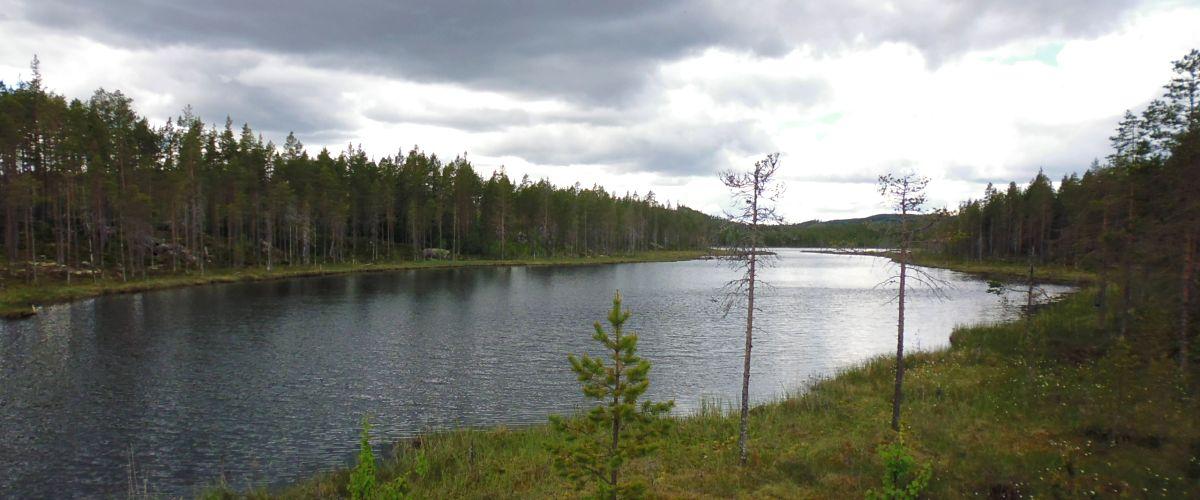 Tällåstjärn