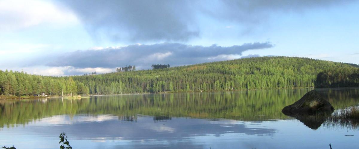 SFK Filip (Skribotjärn) - Image 1