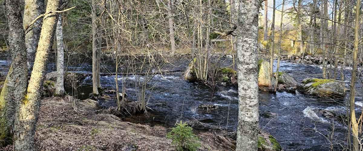 Del av Sverkestaån - Image 7