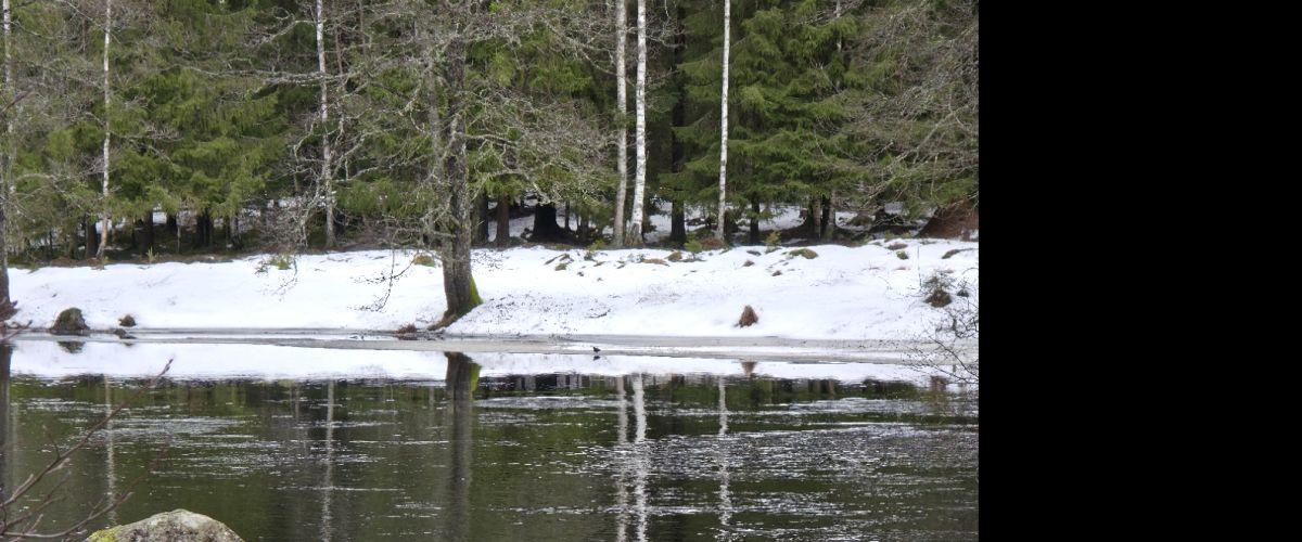 Del av Sverkestaån - Image 13