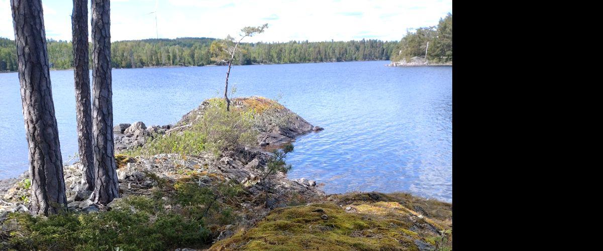 Photo of Erve-Ränns FVOF