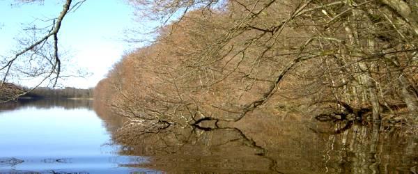 Gyllebosjön - Image 7